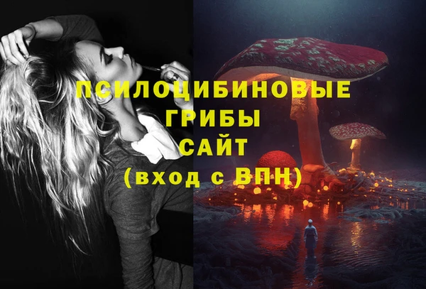 2c-b Бородино
