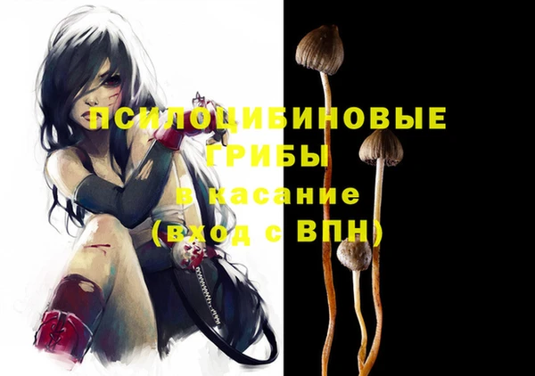 2c-b Верхний Тагил