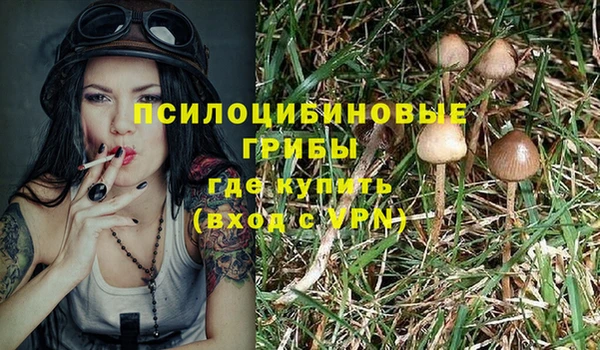 2c-b Верхний Тагил