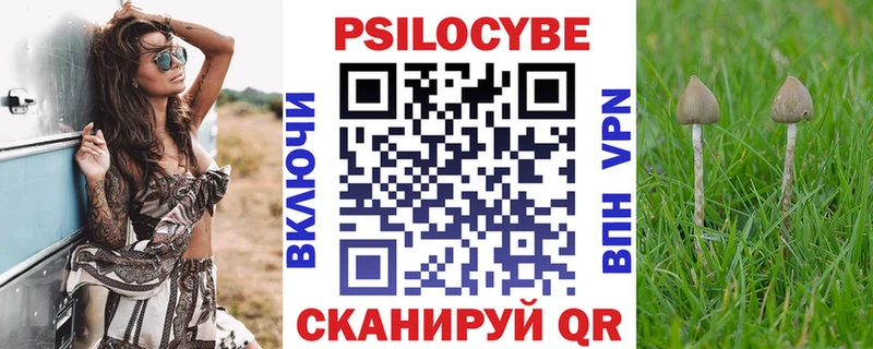 Псилоцибиновые грибы Cubensis  Купить закладки  Кологрив 